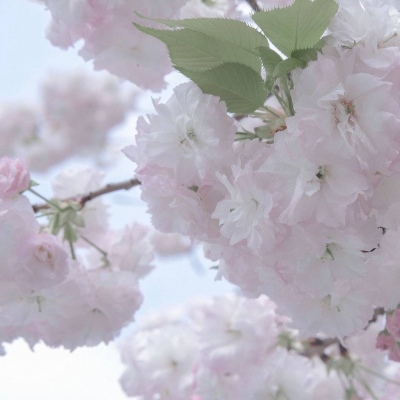 Furry插画光影技巧Furry群